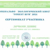 Социально-экологический квест «FOREST-БУМ»