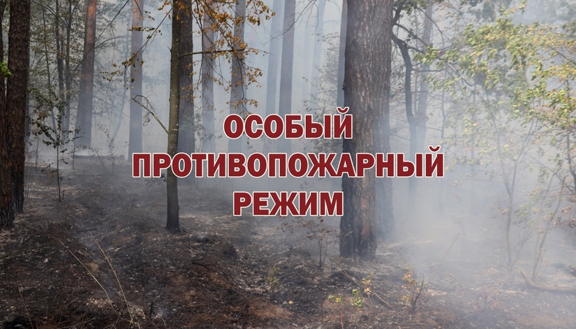 На территории Липецкой области введен особый противопожарный режим