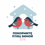 Покормите птиц зимой — 2018